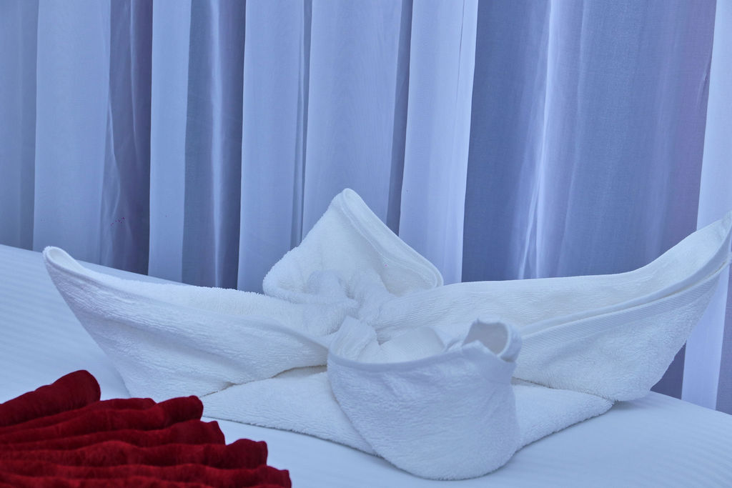 South Woods Accommodation – Spacious Private Room In Naivasha